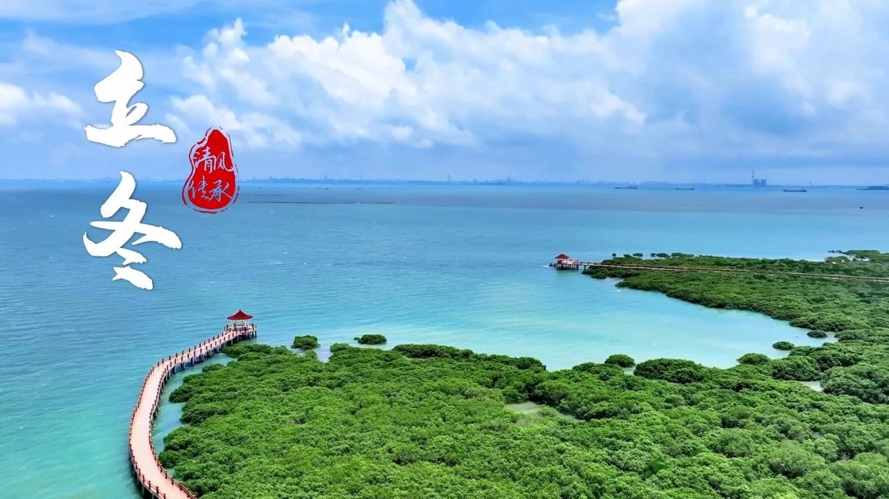 清風·傳承丨立冬：清風勁吹 逐綠前行